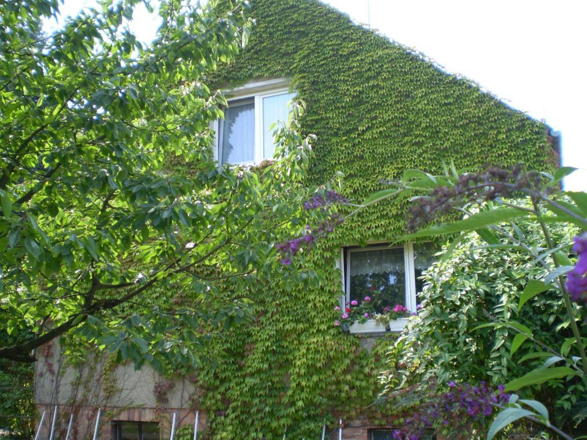 Ferienwohnung Wolf Nietwerder ภายนอก รูปภาพ